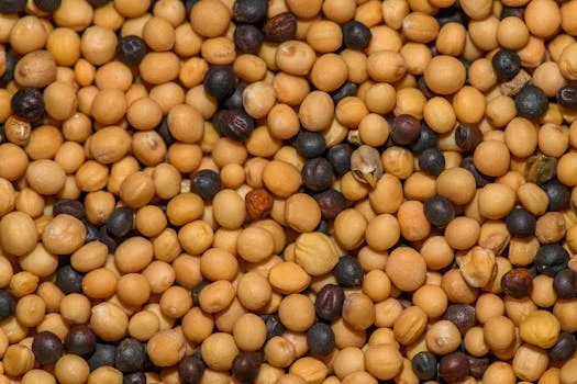 Detailed macro shot of yellow and black mustard seeds, perfect for culinary themes.