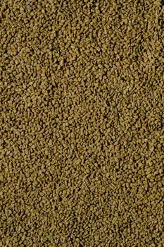 Detailed view of golden brown fenugreek seeds depicting natural texture.