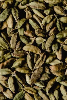 Close-up of vibrant green cardamom pods, ideal for spices and culinary ingredients.